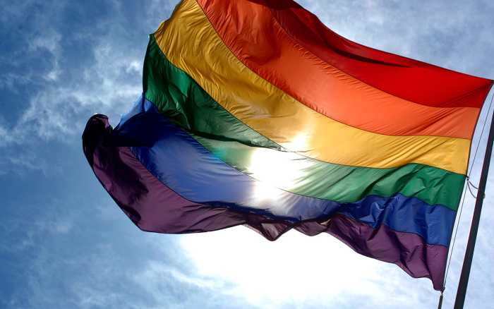Pride: From Protest to Celebration - Rainbow Flag